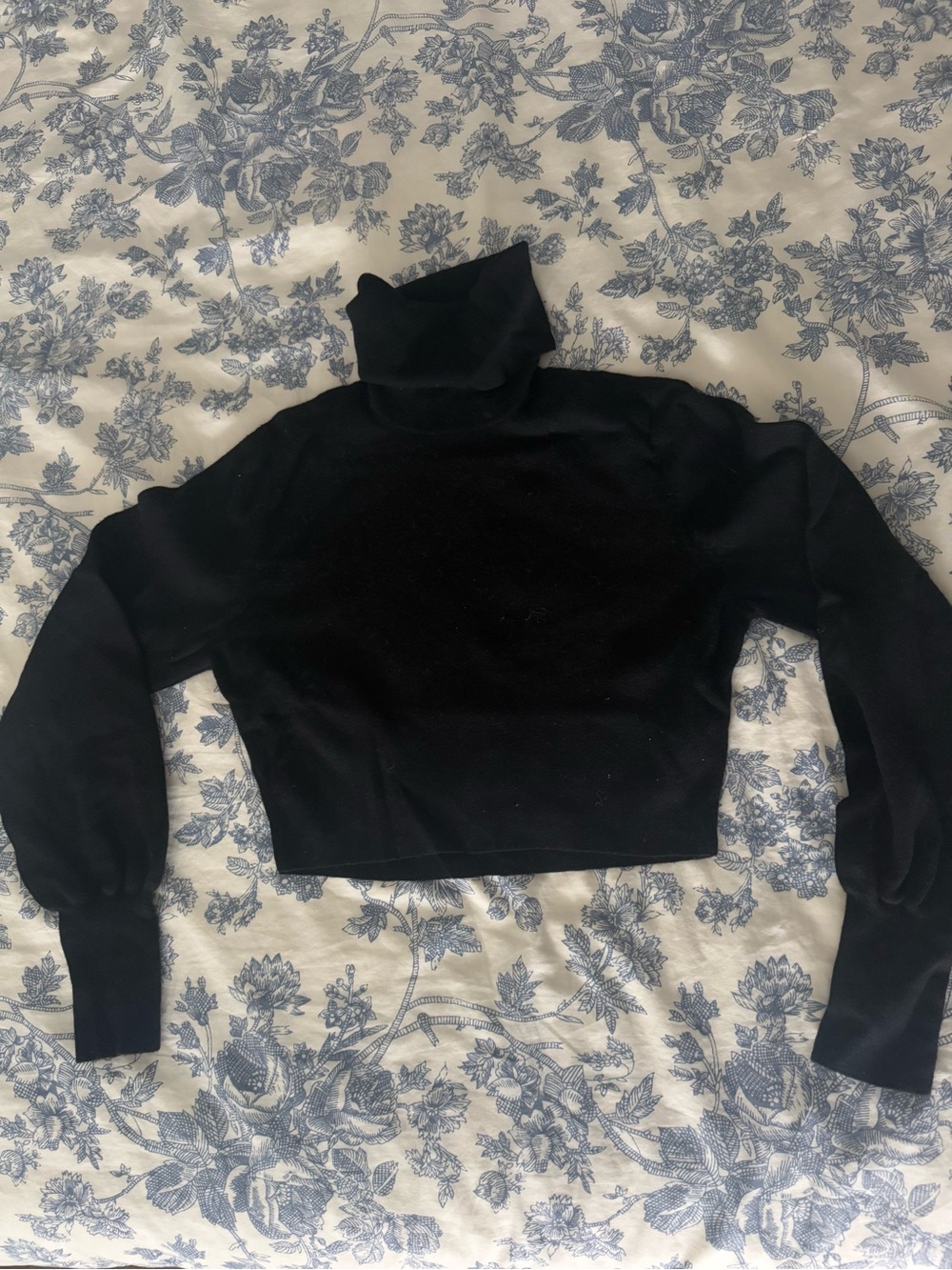 Aritzia Black Cropped Turtleneck Sweater
